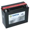 VARTA Powersports 12V 21 Ah YTX24HL-BS AGM Motorradbatterie 21Ah Motorrad