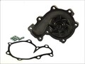 Kühlmittelpumpe THERMOTEC D13037TT für FORD RANGER (ET) 2.5 2006-2012