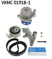 SKF Wasserpumpe + Zahnriemensatz VKMC 01918-1 für AUDI VW A4 PASSAT B6 B5 B7 A6