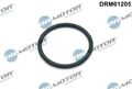 Dr.Motor Automotive DRM01205 Dichtung, Wasserpumpe für BMW