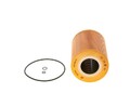 Ölfilter Öl Filter für MAN E2000 10.0 12.0 Bosch 1457429137 1995 - 2005