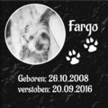 Ihr Tierfoto TEXT BILD Farbig Tiergrabstein Naturstein Gedenkplatte Gedenkstein