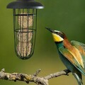 2x Vogelfutterhaus Vogelfutterspender Vogelfutterstation Vogelhäuschen Hängen