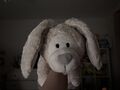 Nici Plüsch Plush Hase Bunny Kawaii 50cm Soft