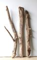 Treibholz Schwemmholz Driftwood 3 XXL Hölzer Terrarium Dekoration 73-80 cm *E39*