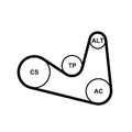Continental CTAM 6PK1180K2 Keilrippenriemensatz für SEAT SKODA VW