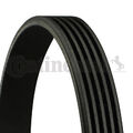 CONTINENTAL CTAM 5PK1060 KEILRIPPENRIEMEN FÜR AUDI KIA LANCIA MAZDA MITSUBISHI V