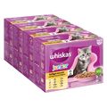 Whiskas JUNIOR 2-12 Monate Katzennassfutter GEFLÜGELAUSWAHL in Gelee 96 x 85g