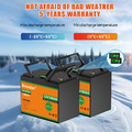 2X 100Ah 12V Lithium Batterie LiFePO4 Akku BMS Solarbatterie Boot RV Solaranlage