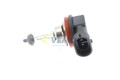 1x VEMO H11 Glühlampe Fernlicht 12V 55W PGJ19-2 Halogen V99-84-0077