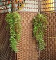 Hängepflanze 80cm Künstliche Grün Pflanze Kunst Blatt Deko Ranke Garten Girlan 1