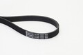 CONTINENTAL CTAM Keilrippenriemen 6PK1555 für BMW FORD OPEL VW VOLVO RENAULT