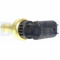 1x Sensor, Kühlmitteltemperatur DELPHI TS10269 passend für MERCEDES-BENZ