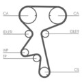 Original Contitech Zahnriemensatz + Wasserpumpe // CT873WP1 für Opel Vectra B