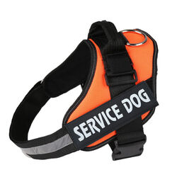 Personalisierte Hundegeschirr Brustgeschirr Hunde VerstellbarGepolstert XS-XXL