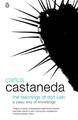 Die Lehren von Don Juan: Ein Yaqui-Weg des Wissens von Carlos Castaneda Taschenbuch