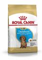 1.5 kg ROYAL CANIN Dachshund Puppy Welpenfutter trocken für Dackel 