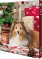 2023 TRIXIE Adventskalender für Hunde