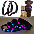 Leuchthalsband LED-USB Hund Leuchtschlauch Hundehalsband USB für Hunde  S-M-L