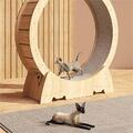 Laufrad für Katzen Laufband Trainingsgerät Spielspielzeug Katzenmöbel Holz DE