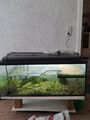 Aquarium/Terrarium für Wasserschildkröte  -  Hamster  -  Mäuse