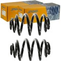 2X SPIDAN FAHRWERKSFEDERN SATZ HINTEN PASSEND FÜR BMW 3 LINKS+RECHTS | 49796