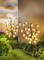 LED-Gartenstecker "Physalis" 2er-Set, 48 LEDs Gartendeko LED-Beleuchtung Deko