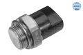 MEYLE 100 959 0003 Temperaturschalter, Kühlerlüfter für AUDI SEAT VW