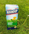 Roundup Rasen-Unkrautfrei Konzentrat 500ml Rasenunkrautvernichter ohne Glyphosat