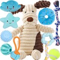 10 Stück Welpen Spielzeug Set - Plüsch Hundespielzeug mit Quietscher