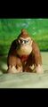 Donkey Kong Nintendo Figur