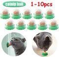 1-10x Natural Catnip Ball Cat Playing Cleaning Teeth Kitten Mint Candy Ball Toy