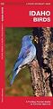 Idaho Birds: A Folding Pocket Guide to Familiar Species ... | Buch | Zustand gut