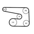 CONTINENTAL CTAM Keilrippenriemen Spannrolle Umlenkrolle 6PK1873K5