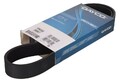 Keilrippenriemen DAYCO 7PK990