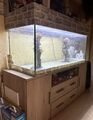 Aquarien mit Schrank und viel Zubehör