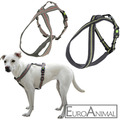 Hunde Geschirr XENOS reflektierend; gepolstert; Brustgeschirr Halsband, 3 Größen