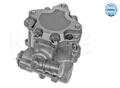 Original MEYLE Hydraulikpumpe Lenkung 114 631 0019 für Audi
