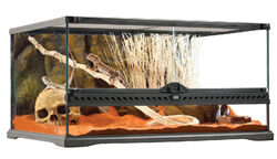 Exo Terra XXL Terrarium aus Glas - Glasterrarium - 60 x 45 x 30cm (LxTxH)