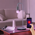 Tischleuchte Tischlampe Wohnzimmerleuchte dimmbar RGB LED App-Steuerung H 43,8cm