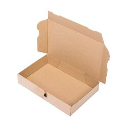 100 Stück Maxibrief Kartons Grossbrief Karton Faltkarton Schachtel Kiste Box