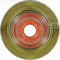 VICTOR REINZ Dichtring, Ventilschaft  u.a. für BMW, MINI, TOYOTA
