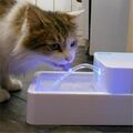 Haustierbrunnen Katzen Hunde Wasserautomat Trinkbrunnen Wasserspender mit LED 