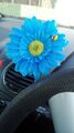 Single Himmelblau Gerbera Daisy Auto Dash Blume für Ihr VW Käfer Bug Vase + Geschenk