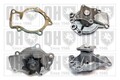 QUINTON HAZELL QCP2881 Kühlmittelpumpe Wasserpumpe für NISSAN ALMERA TINO (V10)