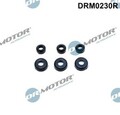 Dr.Motor Automotive DRM0230R Dichtung, Zylinderkopfhaubenschrauben oben unten fü