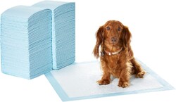 Amazon Basics Trainingspads für Hunde und Welpen, auslaufsicheres 5-lagiges