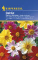 Dahlien * Mignon - Mischung * MHD 01/27 Dahlia x hortensis Kiepenkerl Samen 711