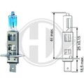 DIEDERICHS Glühlampe, Fernscheinwerfer  u.a. für ABARTH, ALFA ROMEO, ALPINA