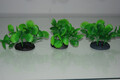 Aquarium 3 x kleine grüne Buschpflanze 5x4x7 cm ideal für die Vorderseite des Aquariums